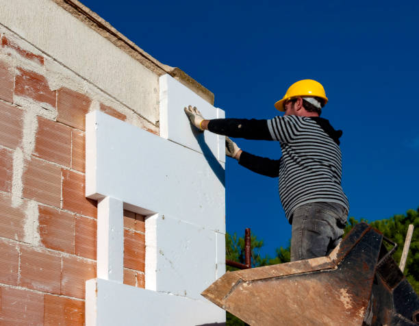 Best Insulation Installation Services in Randolph Af, TX