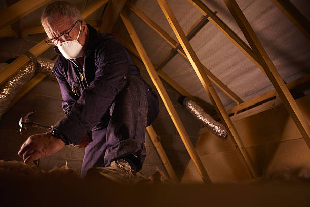 Best Insulation Materials and Products in Randolph Af, TX